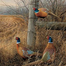 Схема вышивки «№173201»