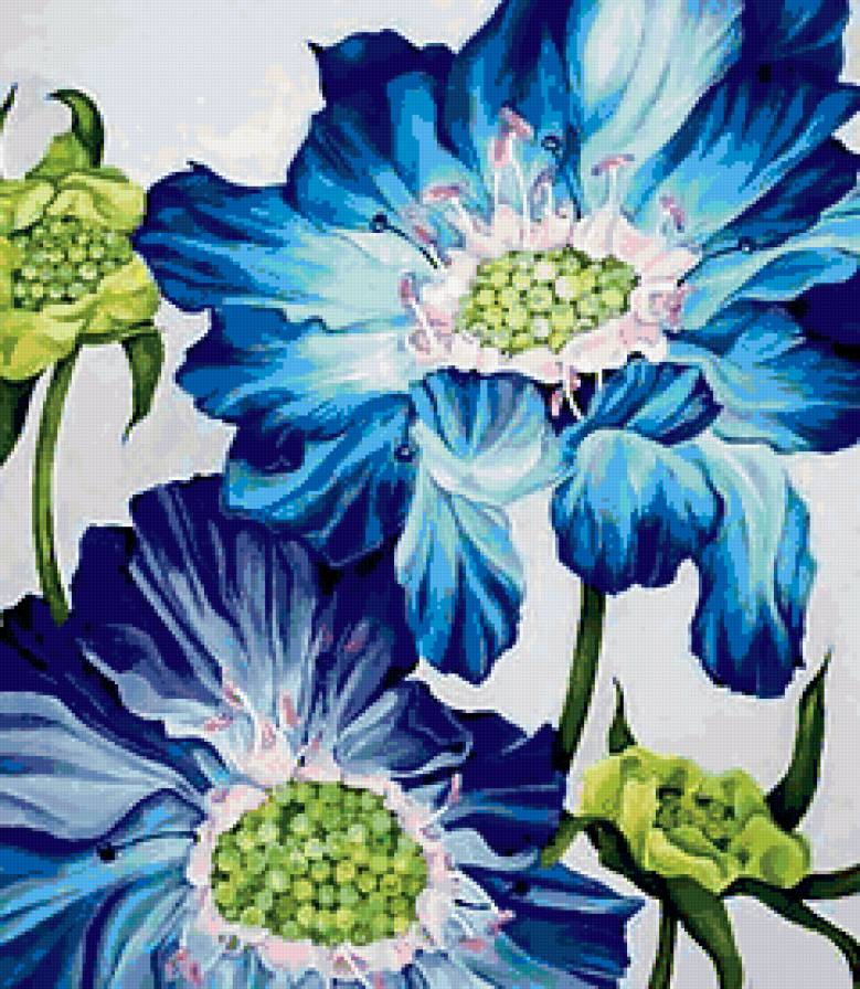 Голубые маки - цветы, маки, букет - предпросмотр