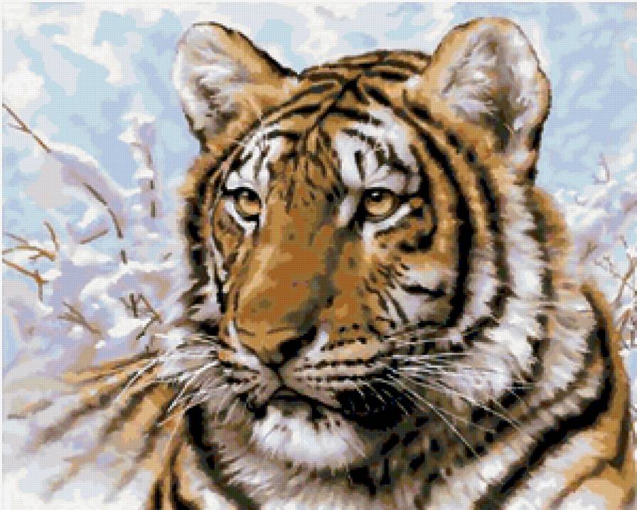 Большие кошки - кот, тигр, зима, снег - предпросмотр