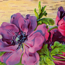 Схема вышивки «Анемоны»