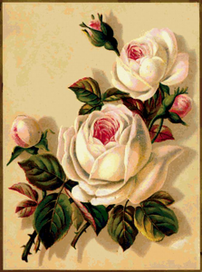 Розы - живопись, декор, цветы - предпросмотр