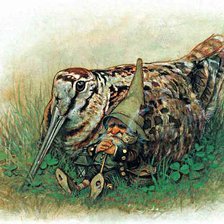 Схема вышивки «№173328»