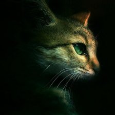 Схема вышивки «кот»