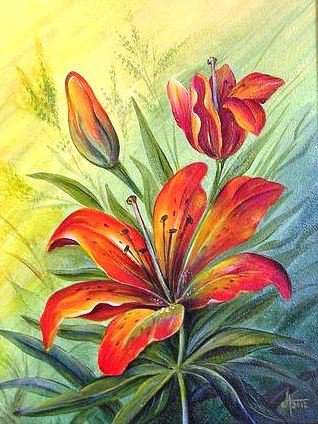 Лилии - тигровая лилия, лилии, флора, цветы, цветок, лилия - оригинал