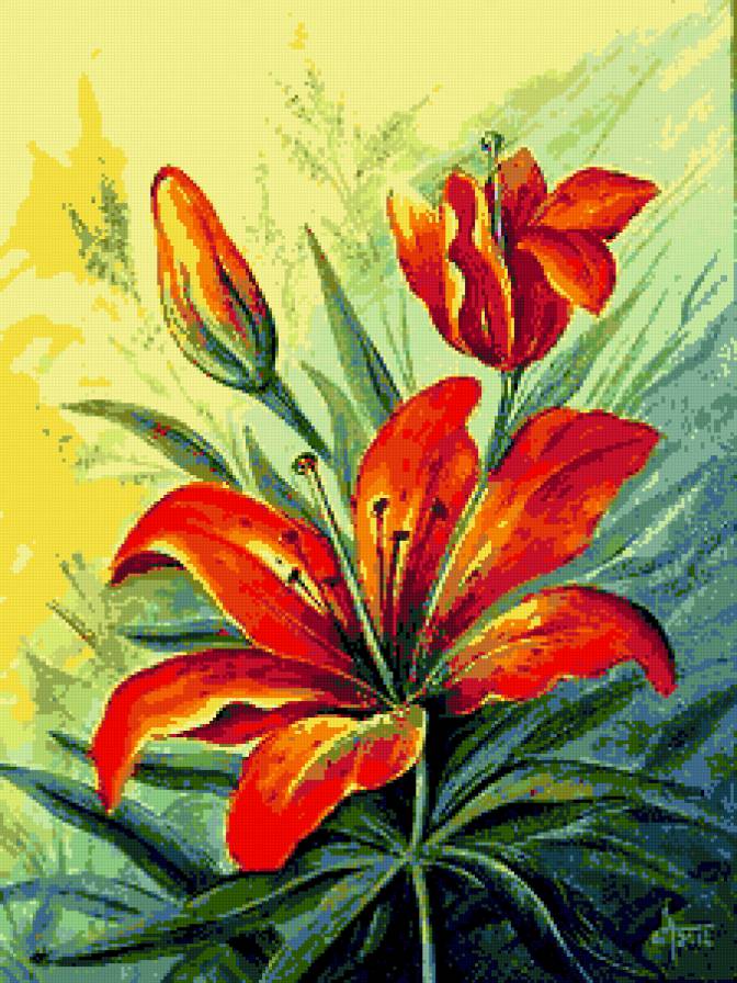 Лилии - тигровая лилия, цветок, цветы, флора, лилии, лилия - предпросмотр