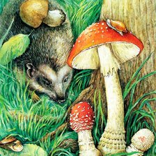 Схема вышивки «Ёжик и мухоморы»