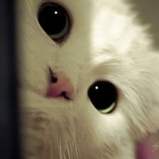 Схема вышивки «Котенок»