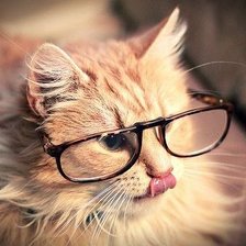 Схема вышивки «Котенок»