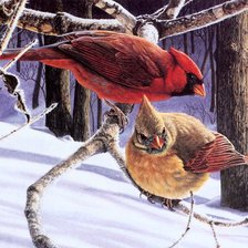 Схема вышивки «Птицы леса»