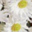 Предпросмотр схемы вышивки «Натюрморт с ромашками» (№173633)