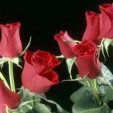 Схема вышивки «цветы»