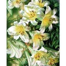 Схема вышивки «лилии»