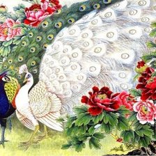 Схема вышивки «Павлины в цветах»