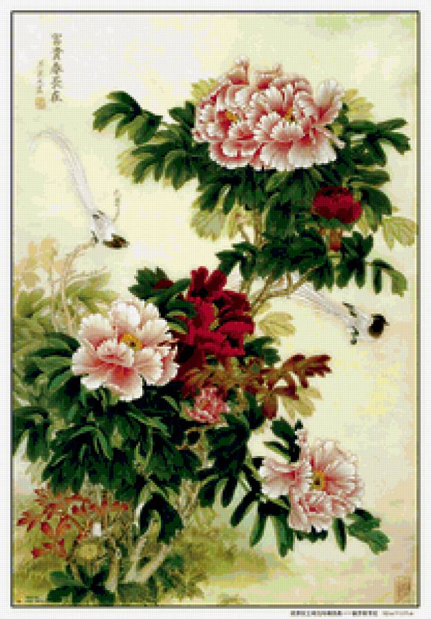 Пионы - цветы, пионы, восток, китай, птицы - предпросмотр