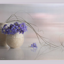 Схема вышивки «гармония»