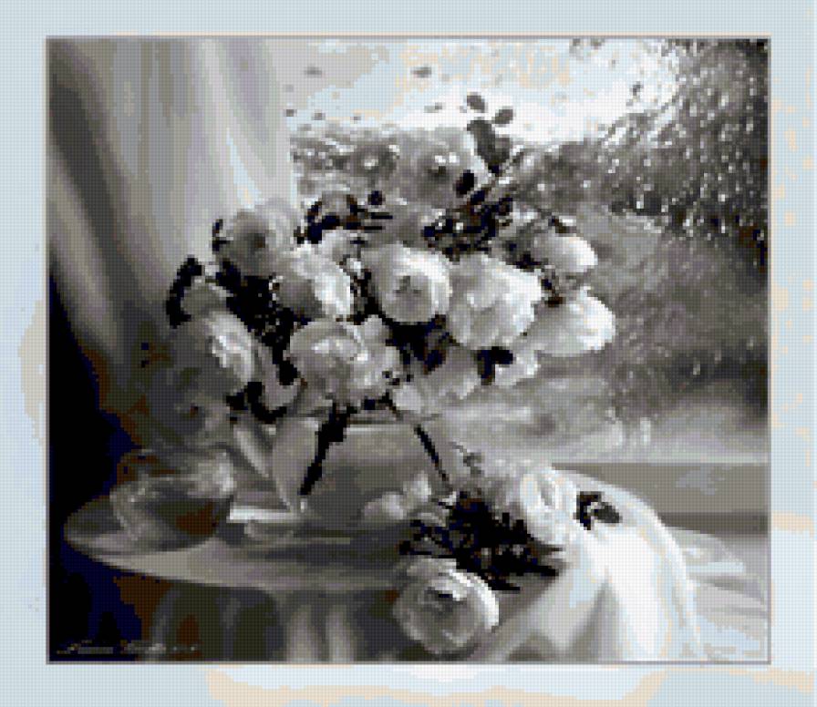 белые розы - предпросмотр