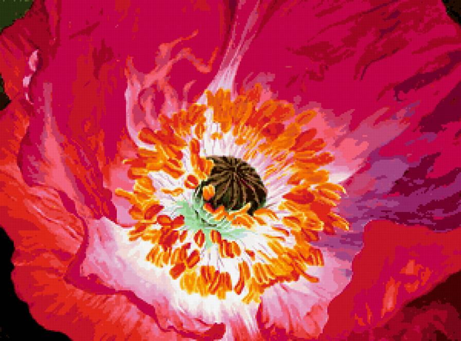 flower - предпросмотр