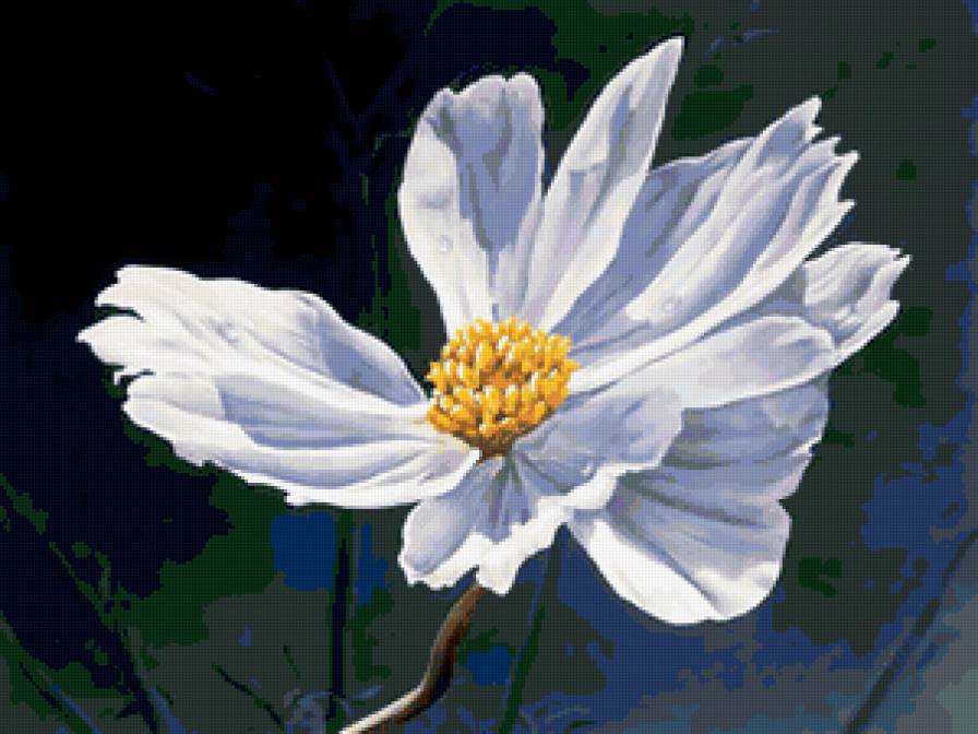 flower - предпросмотр