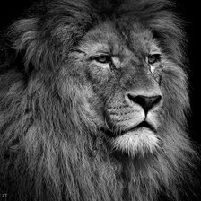 Схема вышивки «№174199»