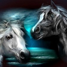 Схема вышивки «20567»