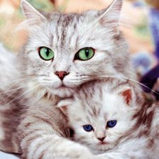 Схема вышивки «656850»