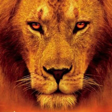 Схема вышивки «лев»