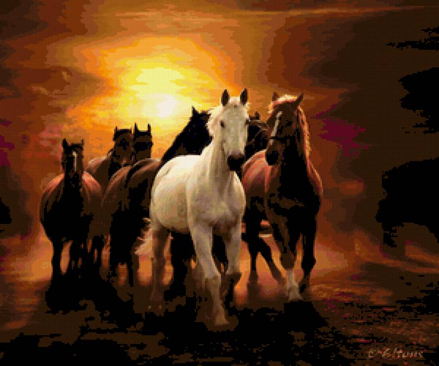 Коні - тварини - предпросмотр