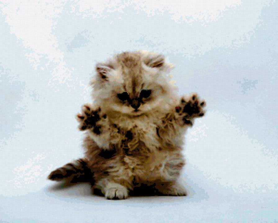 Киска - кошка - предпросмотр