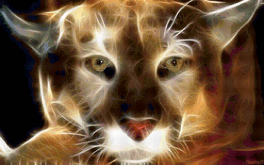 киса - киса, рысь, пума, кошка - предпросмотр