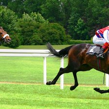 Схема вышивки «скачки»