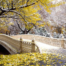 Схема вышивки «Мост»