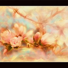 Схема вышивки «№174721»