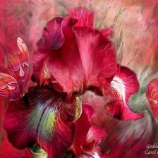 Схема вышивки «№174736»