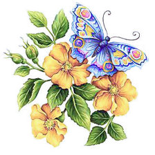 Схема вышивки «Variant 1»