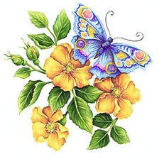 Схема вышивки «Variant 2a»