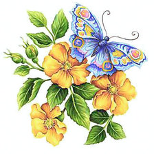 Схема вышивки «Variant 3b»