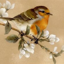 Схема вышивки «ПТИЧКА»