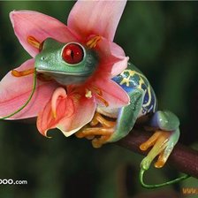 Схема вышивки «№174949»