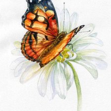 Схема вышивки «красота»