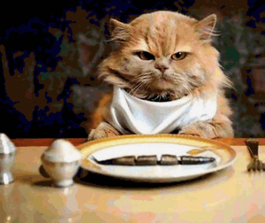 Котик - котики, тварини - предпросмотр