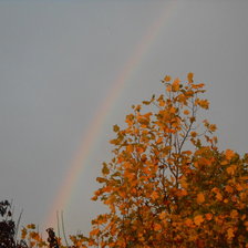 Схема вышивки «Осень»