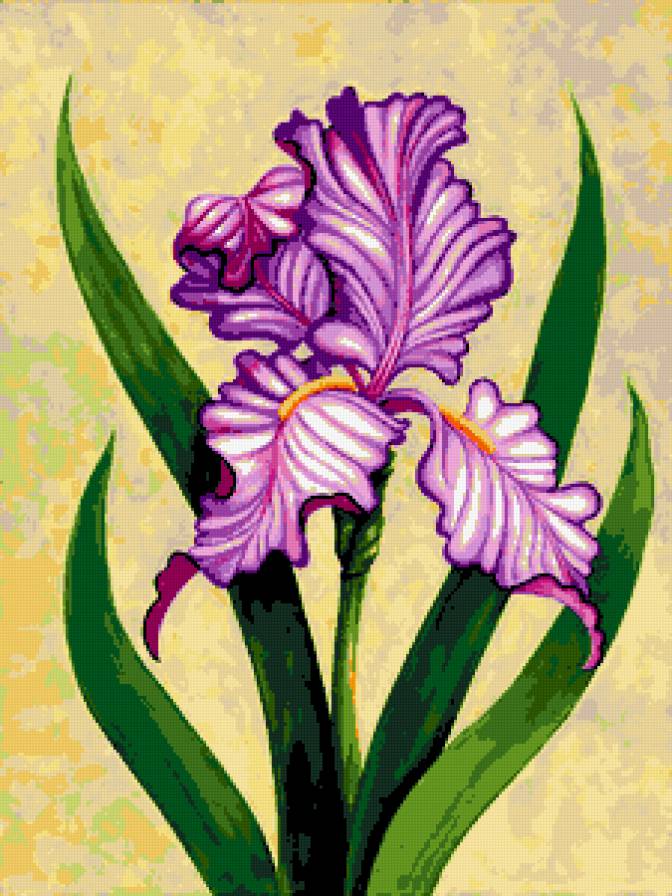 Ирис - весенние цветы, флора, ирисы, ирис, панно, цветок, цветы - предпросмотр