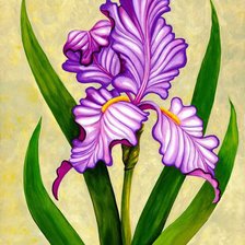 Схема вышивки «Ирис»