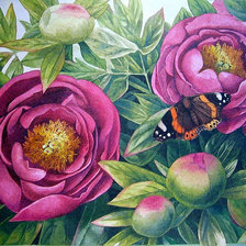 Схема вышивки «№175294»