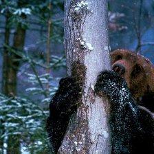 Схема вышивки «медведь»