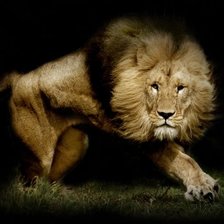 Схема вышивки «лев»