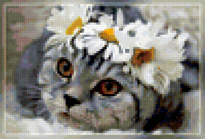 кошечка - предпросмотр