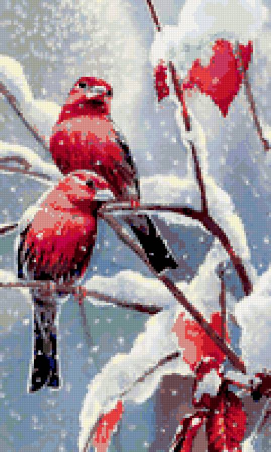 зима и птицы - предпросмотр