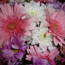 букет гербер