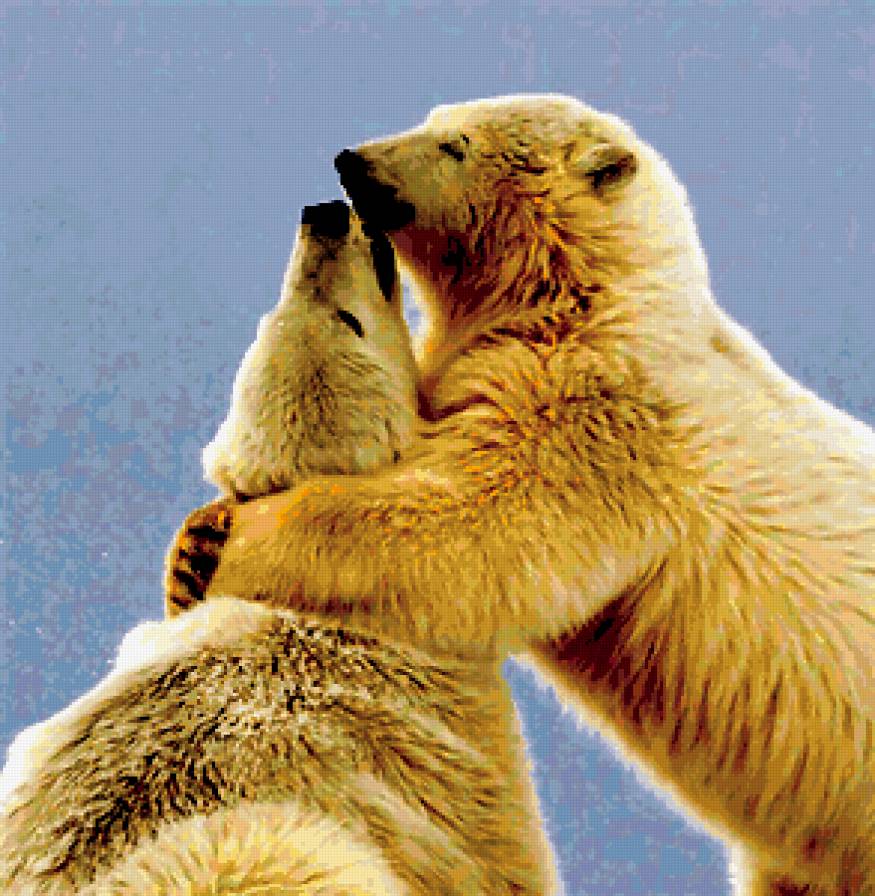 Любовь - белые медведи - предпросмотр